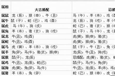 狗生肖六合|属狗和什么属相相冲 生肖狗和什么属相不合